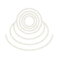 Long-Term Resilience